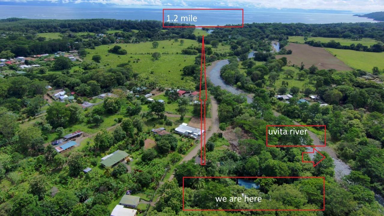 Uvita River Guesthouse Zewnętrze zdjęcie