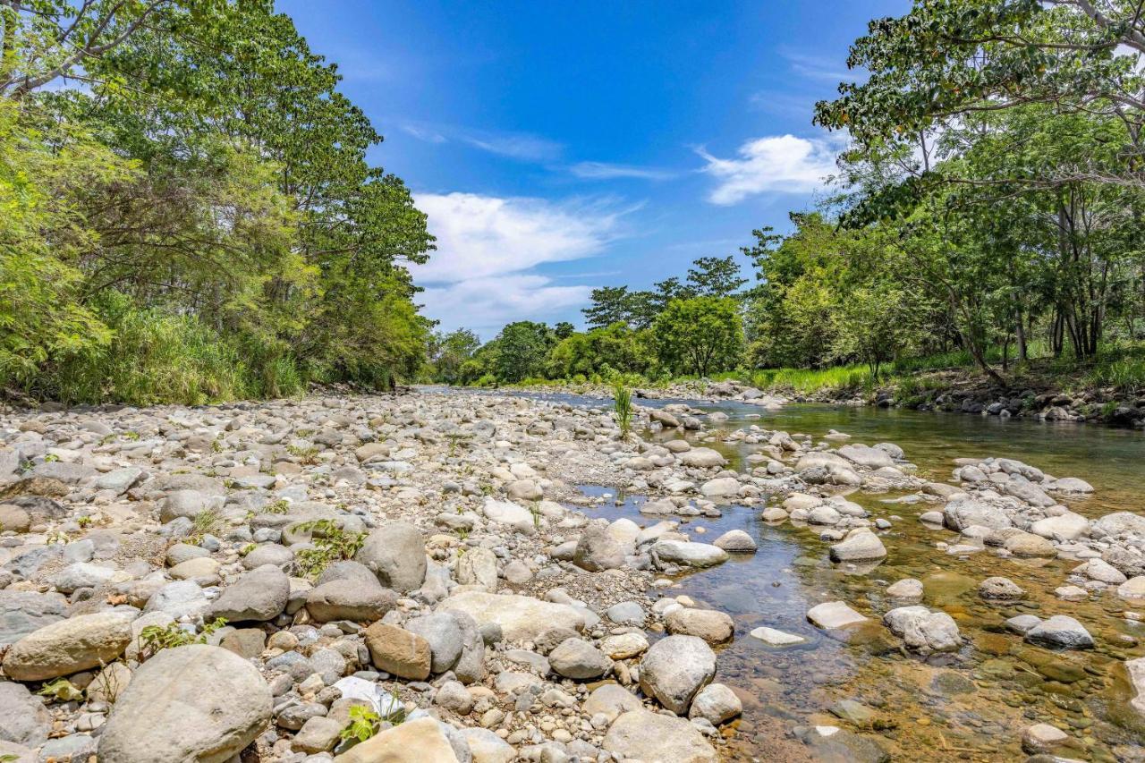 Uvita River Guesthouse Zewnętrze zdjęcie